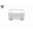 VEMO Conta/sızdırmazlık elemanlı motor yağı soğutucusu, conta/sızdırmazlık elemanları ile, EXPERT KITS + — Volkswagen Transporter (3)