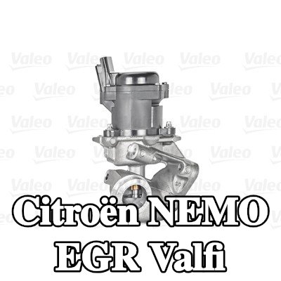 VALEO Contalı/sızdırmazlık elemanlı EGR valfi, EGR soğutucusuz, ORIGINAL PART — Citroën Nemo
