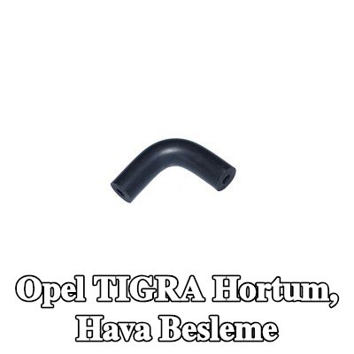 HORTUM Hortum, hava besleme — 2000 Opel Tigra