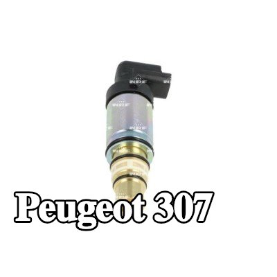 NRF صمام التحكم في ضاغط مكيف الهواء — Peugeot 307