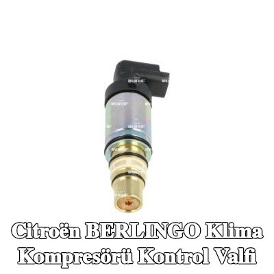 NRF Klima kompresörü kontrol valfi — 2020 Citroën Berlingo