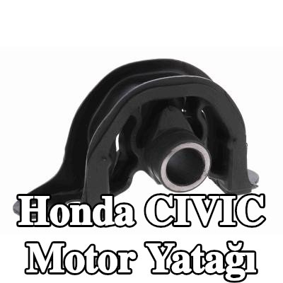 ACKOJA Motor yatağı Alt, Elastomer — 1990 Honda Civic