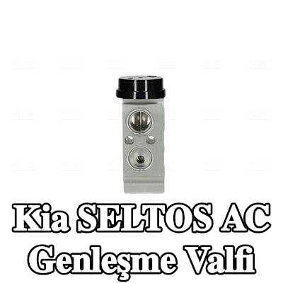 NISSENS AC genleşme valfi — Kia Seltos