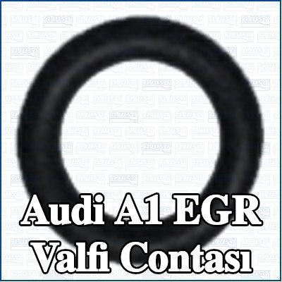 AJUSA EGR valfi contası — Audi A1