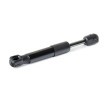 RIDEX Bagaj kapağı desteği 160mm — Renault 19 (3)