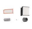 RIDEX Filtre kiti — 2016 Renault Duster (1)