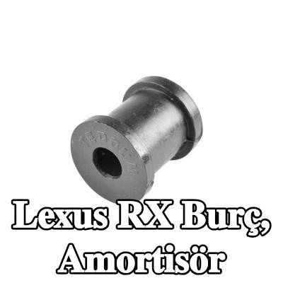 TEDGUM Burç, amortisör — 2002 Lexus Rx