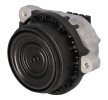 FEBI BILSTEIN Motor yatağı — BMW X3 (1)