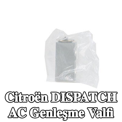 WALKER AC genleşme valfi — 2017 Citroën Dispatch