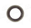 AIC ABS sensör halkası Arka Aks her iki taraf, Magnetic — Ford Focus (4)