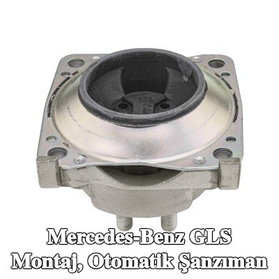 MEYLE Montaj, otomatik şanzıman Sol, Arka — Mercedes-Benz Gls