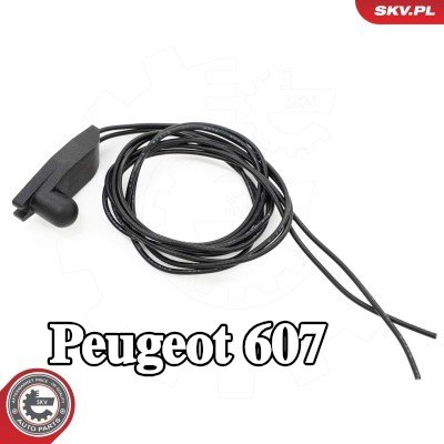 ESEN SKV وحدة الإرسال، درجة الحرارة الداخلية — Peugeot 607