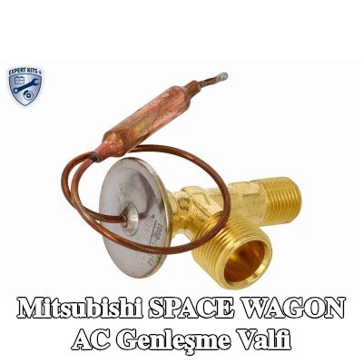 ACKOJA AC genleşme valfi — 1997 Mitsubishi Space Wagon