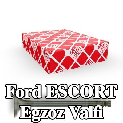 FEBI BILSTEIN Egzoz valfi — 2000 Ford Escort