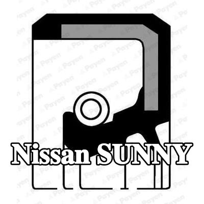 PAYEN حشية العمود، الترس التفاضلي — Nissan Sunny