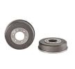 BREMBO Fren kampanas 295mm — 2002 Nissan Pick Up (2)