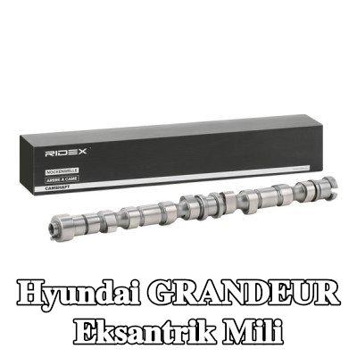 RIDEX Eksantrik Mili — Hyundai Grandeur