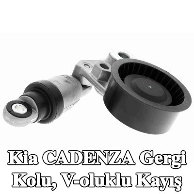 ACKOJA Gergi Kolu, V-oluklu kayış — Kia Cadenza