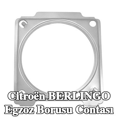 WALKER Egzoz borusu contası — 2012 Citroën Berlingo