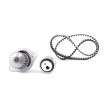 BOSCH Su pompası ve triger kayışı kiti Diş Sayısı: 101, Width: 17mm — Citroën Saxo (2)