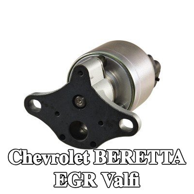 HELLA Contalı/sızdırmazlık elemanlı EGR valfi — Chevrolet Beretta