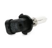 VALEO Uzun far ampulü ESSENTIAL, HB3, 60W, 12V — Honda Integra (3)