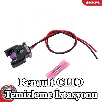 ESEN SKV Temizleme istasyonu — Renault Clio