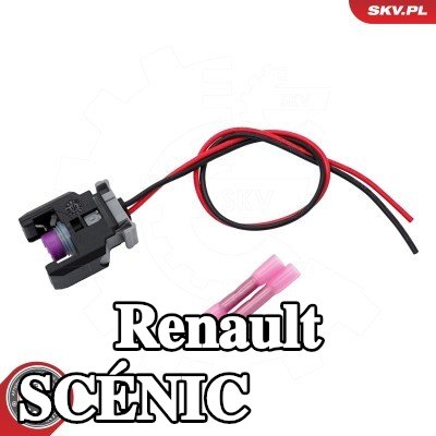 ESEN SKV محطة تنظيف — Renault Scénic