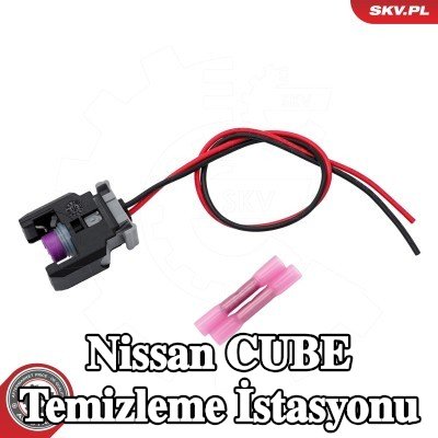 ESEN SKV Temizleme istasyonu — Nissan Cube