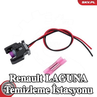 ESEN SKV Temizleme istasyonu — Renault Laguna