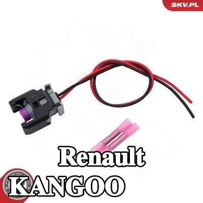 ESEN SKV محطة تنظيف — Renault Kangoo