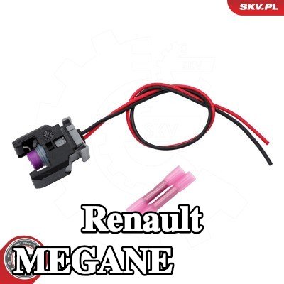 ESEN SKV محطة تنظيف — Renault Megane
