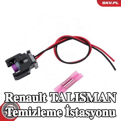 ESEN SKV Temizleme istasyonu — Renault Talisman