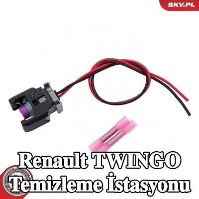 ESEN SKV Temizleme istasyonu — Renault Twingo