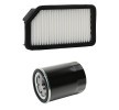 RIDEX PLUS Filtre kiti — Kia Soul (1)