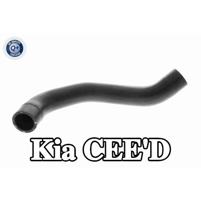 ACKOJA خرطوم المبرد العلوي — 2012 Kia Cee'd