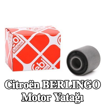 FEBI BILSTEIN Motor yatağı, arka, Elastomer — 2002 Citroën Berlingo