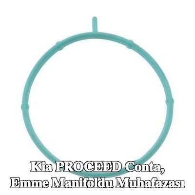 PAYEN Conta, emme manifoldu muhafazası — Kia Proceed