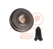 IAP QUALITY PARTS Kayış Kasnağı Seti, krank mili — Ford Transit Custom (1)