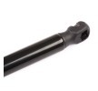 RIDEX Arka kapak destek kolu Araç Arka Kapak, 500mm — Kia Stonic (4)