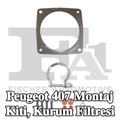 FA1 Montaj Kiti, kurum filtresi — Peugeot 407