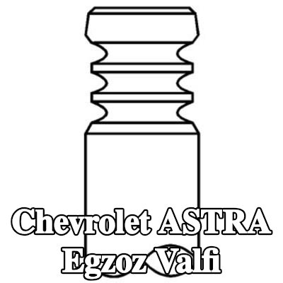 MAHLE Egzoz valfi, egzoz tarafı — 2002 Chevrolet Astra