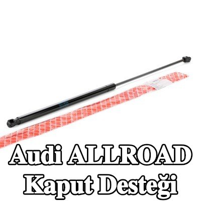 FEBI BILSTEIN Kaput destek çubuğu Sağ — Audi Allroad