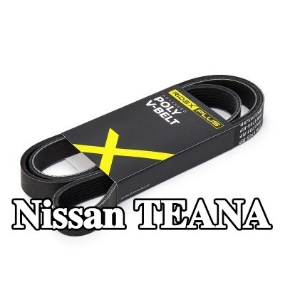 RIDEX PLUS حزام سيربنتين 1705mm, Number of ribs: 7 — 2012 Nissan Teana