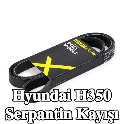 RIDEX PLUS Serpantin kayışı 1705mm, Number of ribs: 7 — Hyundai H350