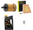RIDEX PLUS Motor yağı filtre seti — SEAT Cordoba (1)