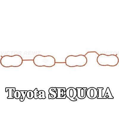 REINZ حشية مشعب السحب مطاطية — Toyota Sequoia
