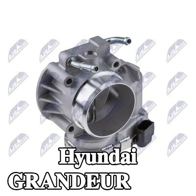 NTY وحدة التحكم في جسم الخانق/يجب تدريب/تحديث البرنامج — Hyundai Grandeur