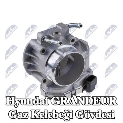 NTY Gaz kelebeği gövdesi Kontrol Ünitesi/Yazılımı eğitilmeli/güncellenmelidir — Hyundai Grandeur