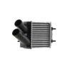 MAHLE Intercooler — 2002 Renault Scénic (8)